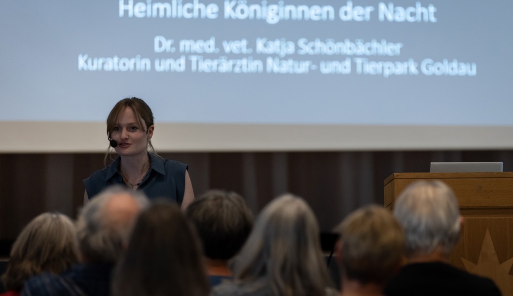 Wie Fledermäuse nachts jagen und dabei Tausende Insekten vertilgen
