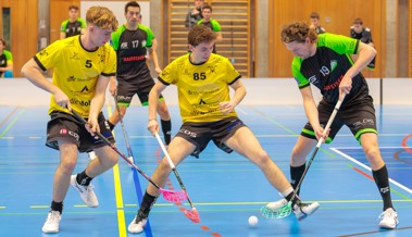 Gators wollen sich in der Doppelrunde das Playoff-Heimrecht sichern