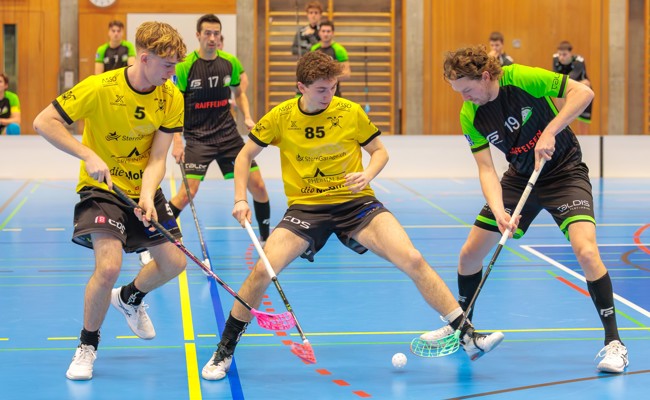 Gators wollen sich in der Doppelrunde das Playoff-Heimrecht sichern