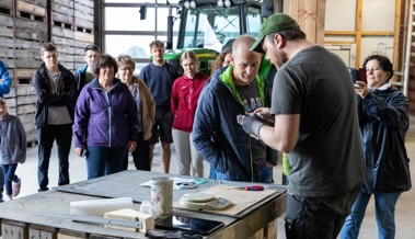 Brutbestand vervielfacht: Turmfalken im Rheintal profitieren stark vom Pro-Riet-Projekt