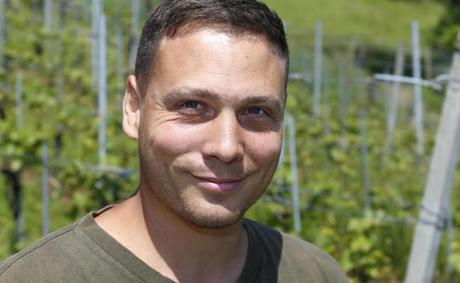 Thaler Winzer ist Gault-Millau-Rookie des Jahres