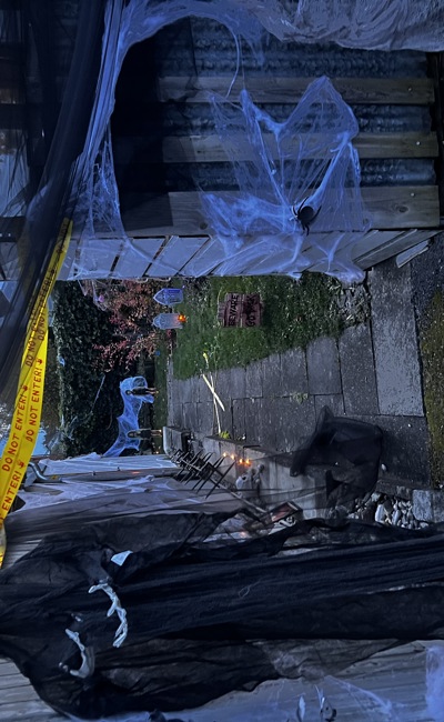 Gruselpfad an Halloween: Spinnen, Monster und Schreckmomente