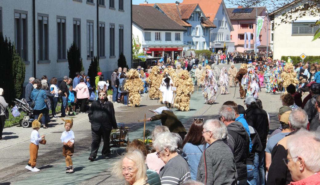 Der Umzug am Oberrieter Eierlesefest war sehr farbenfroh und zur Freude des organisierenden STV Oberriet-Eichenwies ausgezeichnet besucht.