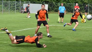 Zwei mühevolle Startsiege für Faustball Widnau
