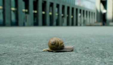 Bolt lässt uns um Schnecke bangen