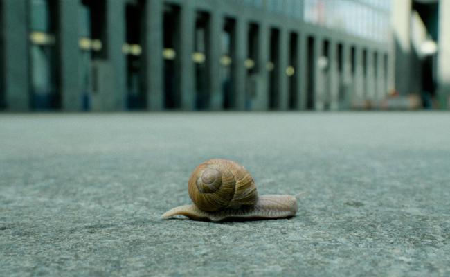 Bolt lässt uns um Schnecke bangen