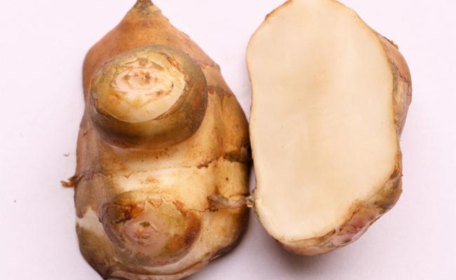 Garten: Artischocke der Indigenen