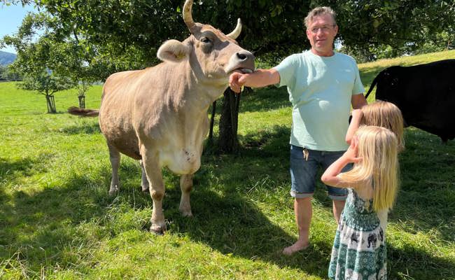 Vom Fleischbetrieb zur Kuhpension: Der Burgstock erfindet sich neu