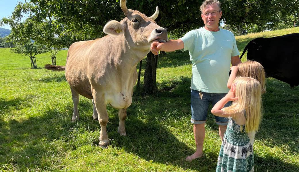 Vom Fleischbetrieb zur Kuhpension: Der Burgstock erfindet sich neu