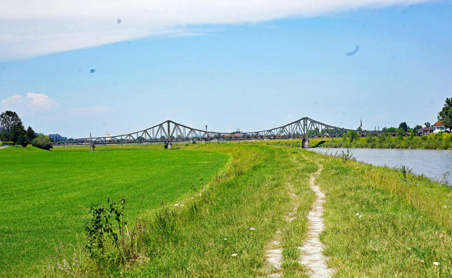 Vom Urwald zum Kanal: Brücken über den Rhein, wo sie sich befinden und was sie uns erzählen