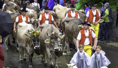 422 Tiere an der Oberegger Viehschau
