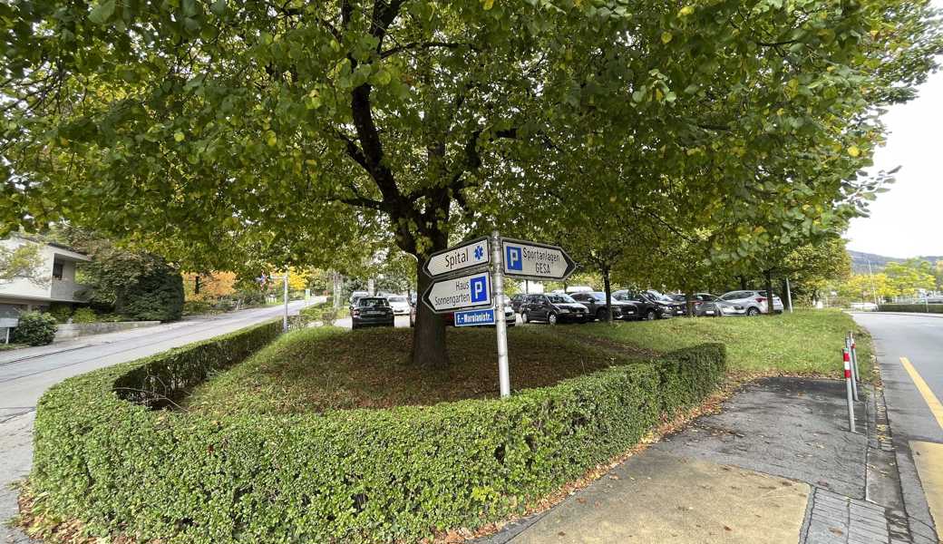 In der Zone für öffentliche Bauten und Anlagen, wo Heidenerstrasse (rechts) und Marolanistrasse zusammentreffen, ist ein ambulantes Gesundheitszentrum geplant. Vier lokal verankerte Ärzte sind bereit, einen «deutlich zweistelligen Millionenbetrag» zu investieren. 