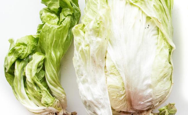 Garten: Es ist Zeit für Wintersalat