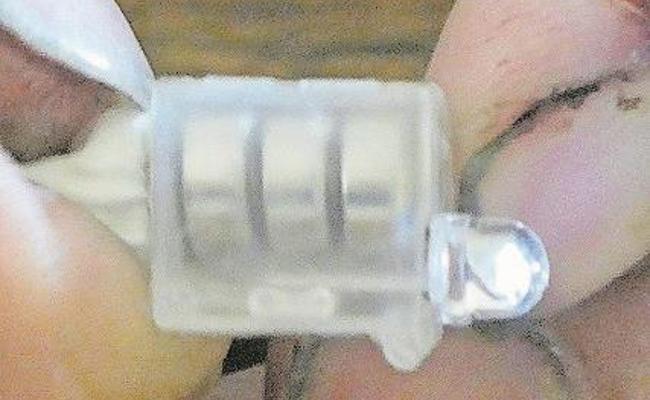 «Littering, das töten kann»