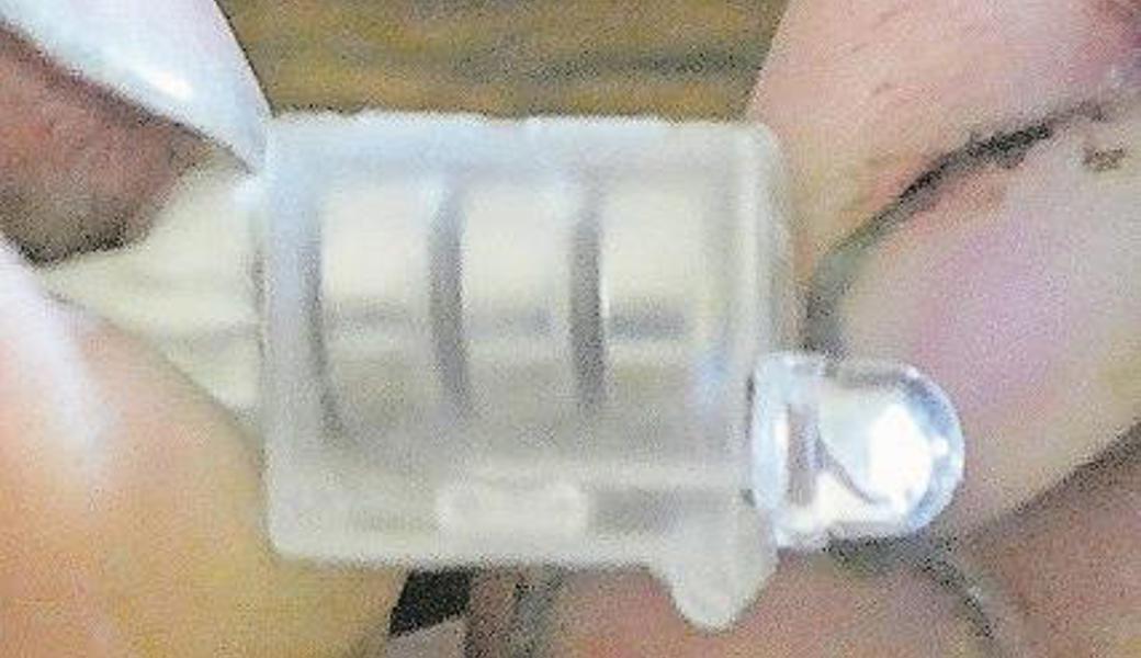 Solche Gegenstände bleiben im Magen einer Kuh liegen.