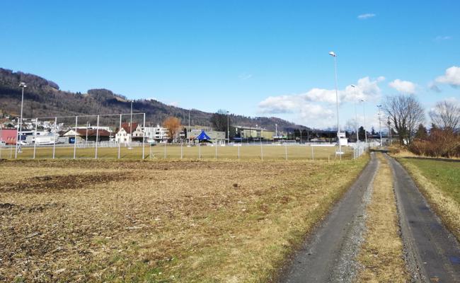 Gators-Arena ist in der Schwebe