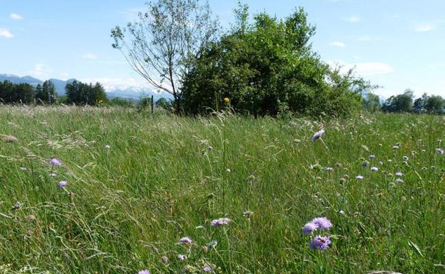 Erfreuliche Zwischenbilanz