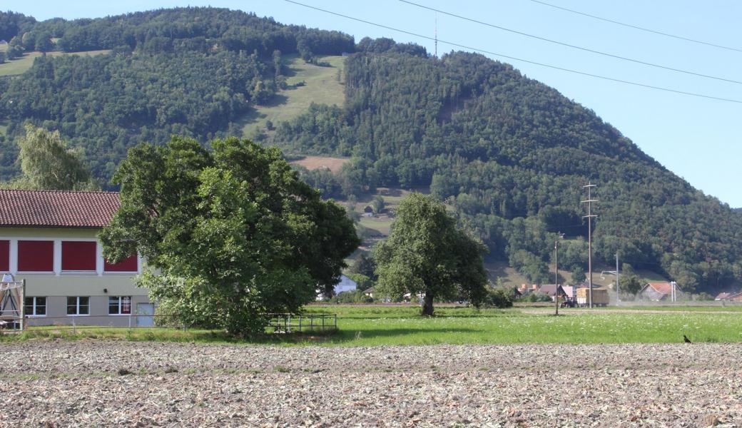 St.Margrethen (B), Rüthi (Q), Eichberg (G), Heerbrugg (K)