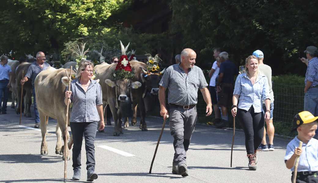 Am Samstagmittag zog die Herde von der Alp Unterkamor nach Rüthi – mit Blumenschmuck auf den Köpfen der Kühe. 