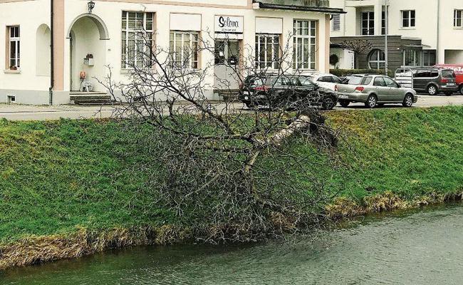 Föhn richtet Schaden an