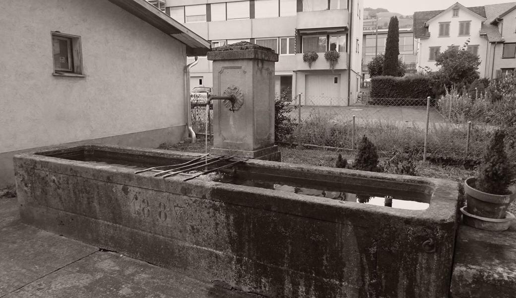 Der ergiebige Brunnen im Altstätter Erlen.