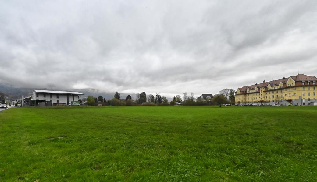 Die ersten vier Mehrfamilienhäuser sollen neben der Haltiner Holz und Baubedarf (links im Bild) gebaut werden, zum Stadtbach hin (der dem Heckenstreifen in der Mitte des Bilds entlang verläuft). Drei weitere Mehrfamilienhäuser sieht der Gestaltungsplan zur Jugendstätte Bellevue (rechts im Bild) hin vor und nochmals drei an der Oberrieterstrasse, vor der Haltiner-Halle.