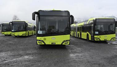 Was es mit den grünlichgelben Bussen auf der Allmend auf sich hat