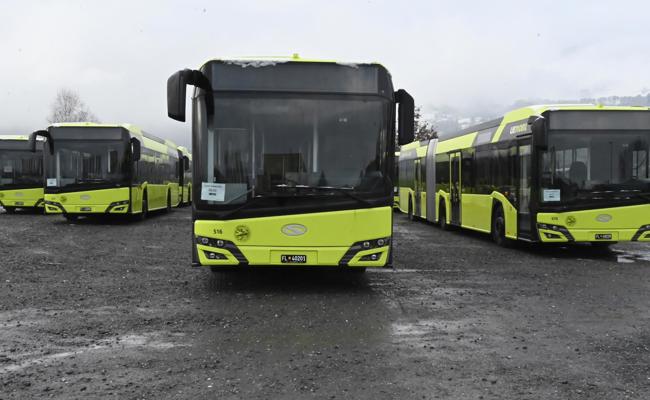 Was es mit den grünlichgelben Bussen auf der Allmend auf sich hat
