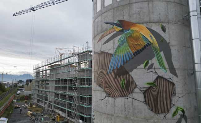 Vögel am Silo: Von grauem Beton zu lebendiger Kunst
