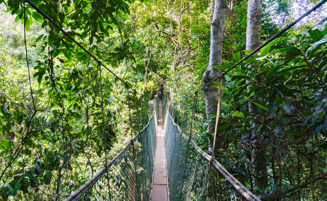 Hoffnung in unsicheren Zeiten: Warum Christen trotz globaler Krisen auf Gott vertrauen