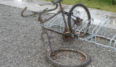 Aus dem Hafen gefischt