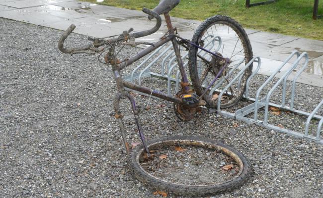 Aus dem Hafen gefischt