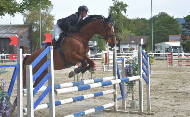 Internationales Springturnier