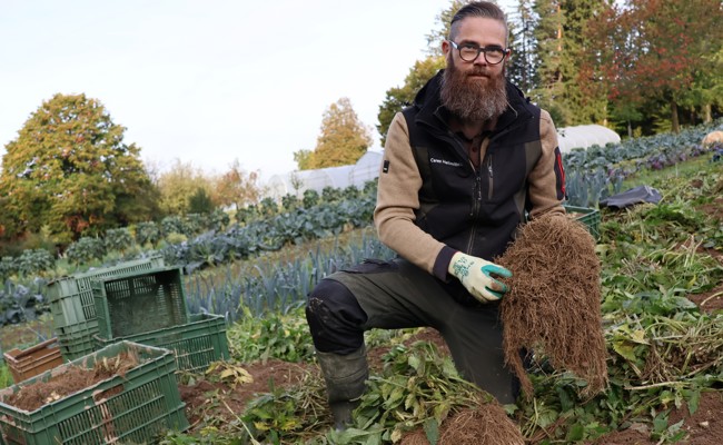 Das steckt hinter der aufwendigen Herstellung eines pflanzlichen Heilmittels