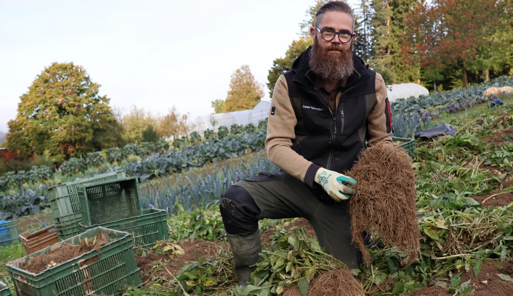 Das steckt hinter der aufwendigen Herstellung eines pflanzlichen Heilmittels