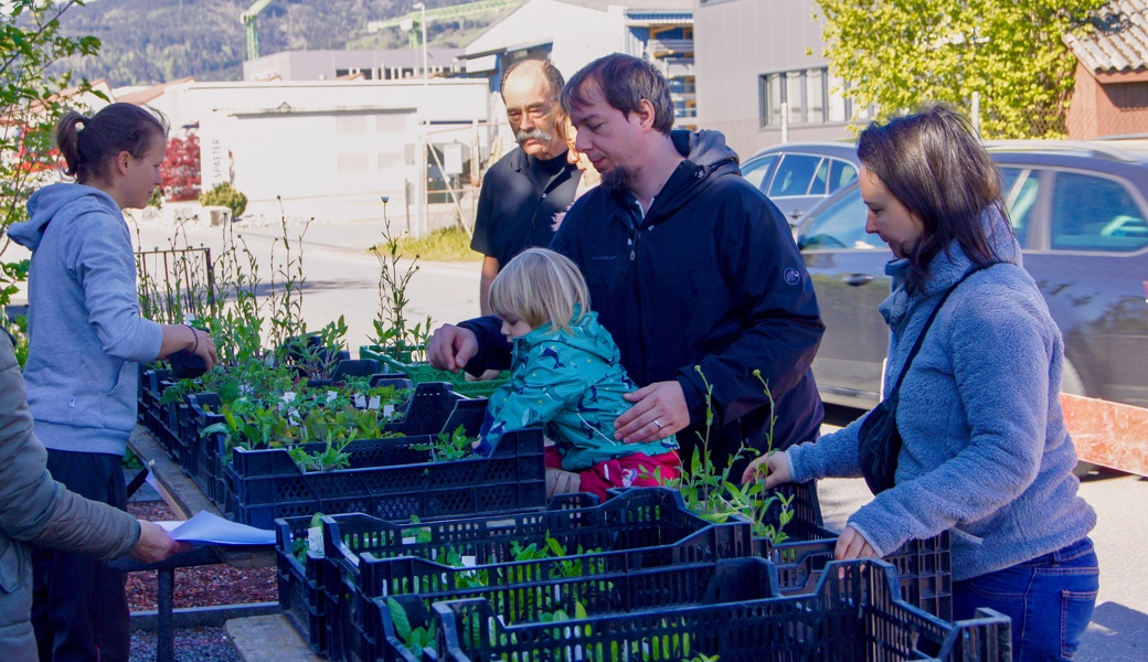 Mit einheimischen Wildblumen in unseren Gärten schaffen wir mehr Biodiversität!