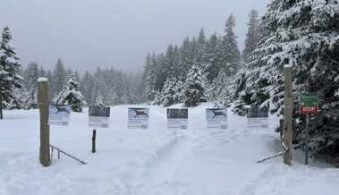 Auf Wildtiere Rücksicht zu nehmen ist im Winter besonders wichtig