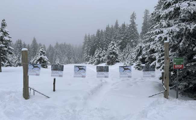 Auf Wildtiere Rücksicht zu nehmen ist im Winter besonders wichtig