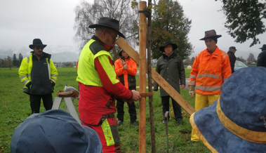 Beim Tratthof neue Allee mit einheimischen Baumarten gepflanzt