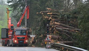 Wald verträgt keine Kurzarbeit
