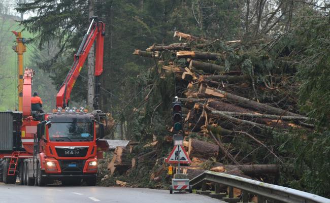 Wald verträgt keine Kurzarbeit