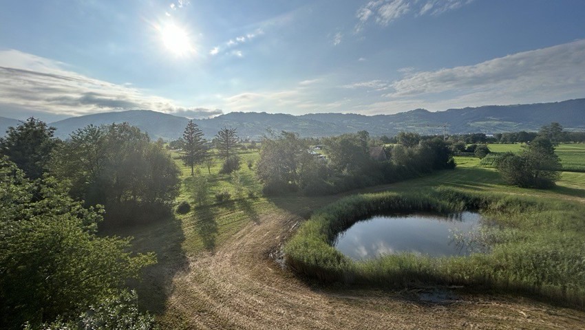 Blick vom Aussichtsturm der Schollenmühle ins Riet.