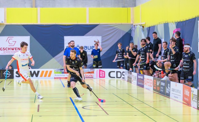 Die Gators starten mit einem Heimspiel ins Playoff-Viertelfinal