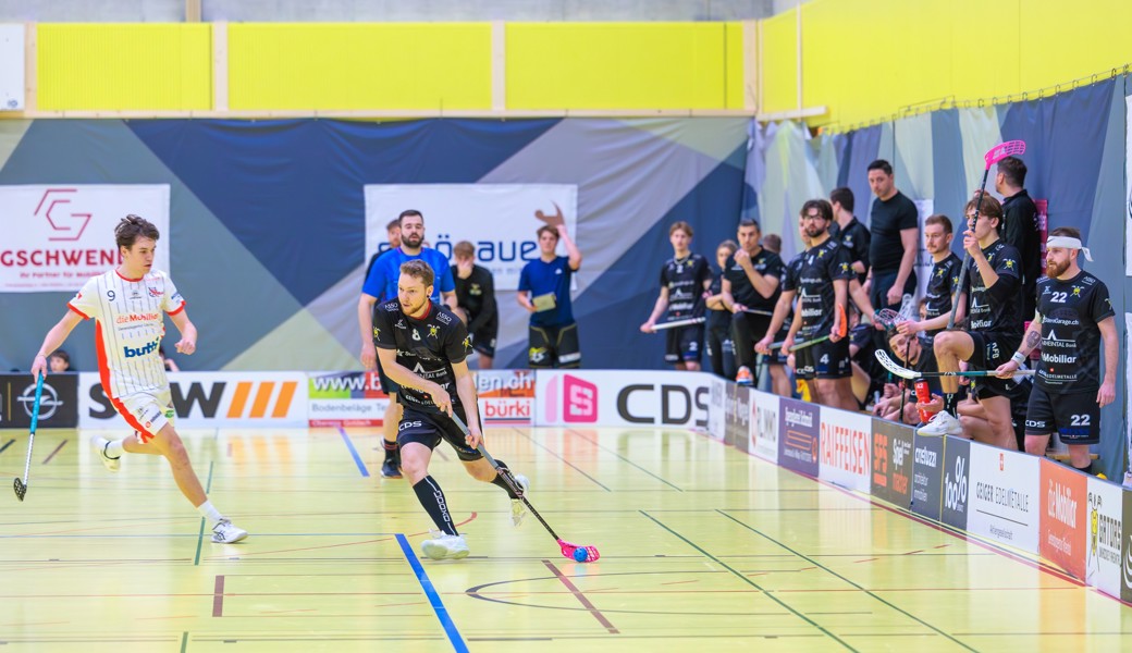 Die Gators starten mit einem Heimspiel ins Playoff-Viertelfinal