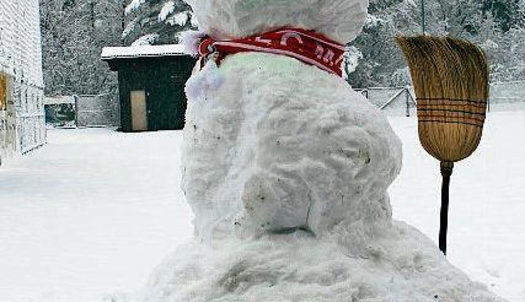 Der FCM-Schneemann durfte zwar nicht zuschauen, freute sich aber dennoch über die Leistungen am Seehallencup.