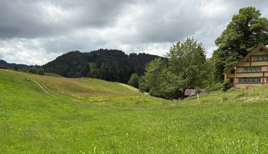 Bachoffenlegung für Revitalisierung und Hochwasserschutz