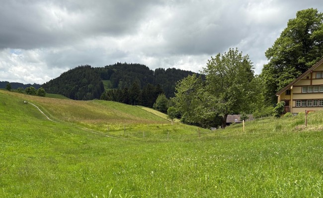 Bachoffenlegung für Revitalisierung und Hochwasserschutz