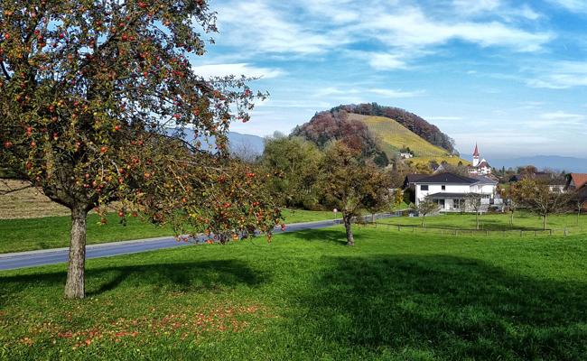 Viel Obst: 1958 wurde sogar das Reservoir zum Mostfass