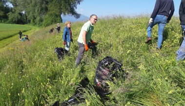 Freiwillige befreiten die heimische Landschaft von Neophyten