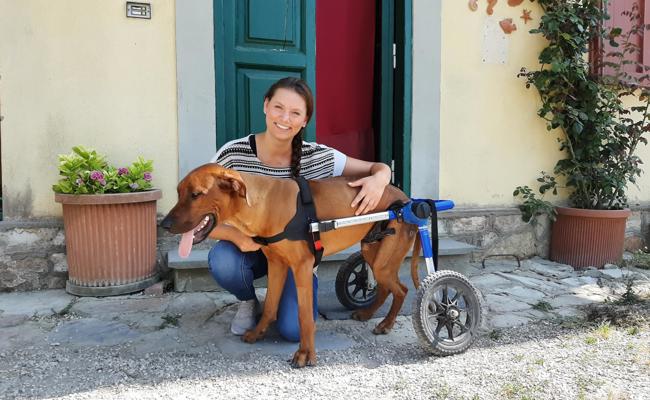 Sie hebt 30 Kilo in den Rollstuhl